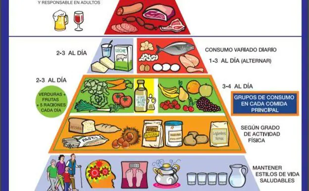 Piramide Alimenticia Y Sus Funciones Dinami 8555